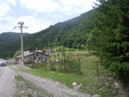 teren-intravilan-3500-mp-de-vanzare-in-rucar-arges-ideal-pentru-dezvoltari-rezidentiale-3