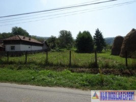 teren-intravilan-1000-mp-vacarea-mihaesti-arges-ideal-pentru-constructii-rezidentiale