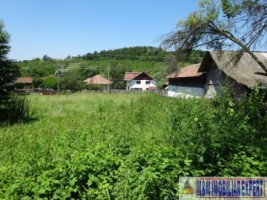 teren-intravilan-1000-mp-vacarea-mihaesti-arges-ideal-pentru-constructii-rezidentiale-4