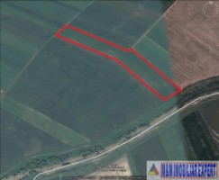 teren-agricol-5-ha-extravilan-de-vanzare-in-halchiu-brasov-ideal-pentru-activitati-agricole