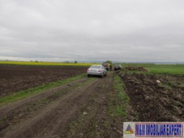 teren-agricol-5-ha-extravilan-de-vanzare-in-halchiu-brasov-ideal-pentru-activitati-agricole-7