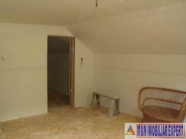 dublura-cu-8424-vila-7-camere-teren-4500-mp-vladesti-4