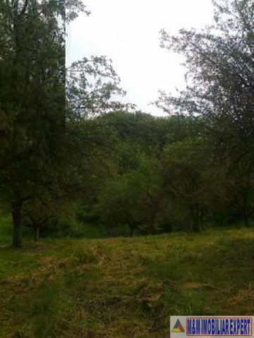 dublura-cu-8424-vila-7-camere-teren-4500-mp-vladesti-6