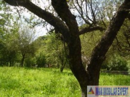 dublura-cu-8424-vila-7-camere-teren-4500-mp-vladesti-7