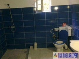 dublura-cu-8424-vila-7-camere-teren-4500-mp-vladesti-11