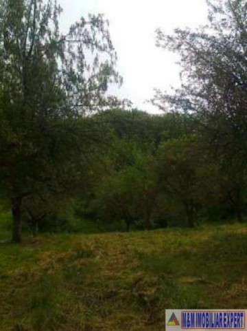 dublura-cu-8424-vila-7-camere-teren-4500-mp-vladesti-13