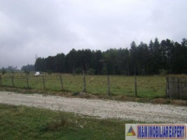 teren-3598-mp-intravilan-campulung-1