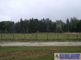 teren-3598-mp-intravilan-campulung-2