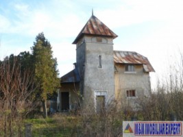 vila-istorica-cu-7-camere-si-teren-de-5000-mp-in-teiu-arges-fostul-castel-al-lui-armand-calinescu