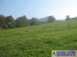 hala-saivan-500-mp-campulung-muscel-semicentral-arges-12
