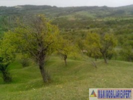 teren-8600-mp-extravilan-de-vanzare-in-boteni-arges-oportunitate-pentru-investitii-agricole-2