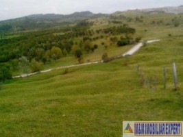 teren-8600-mp-extravilan-de-vanzare-in-boteni-arges-oportunitate-pentru-investitii-agricole-3