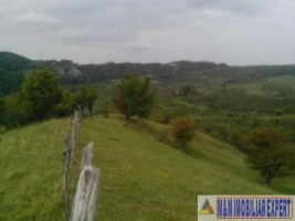 teren-8600-mp-extravilan-de-vanzare-in-boteni-arges-oportunitate-pentru-investitii-agricole-4