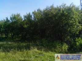 teren-900-mp-extravilan-de-vanzare-in-boteni-arges-oportunitate-pentru-dezvoltare-8