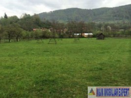 teren-intravilan-5490-mp-de-vanzare-in-dragoslavele-arges-ideal-pentru-proiecte-rezidentiale-sau-turistice