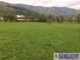 teren-intravilan-5490-mp-de-vanzare-in-dragoslavele-arges-ideal-pentru-proiecte-rezidentiale-sau-turistice-3