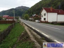 teren-intravilan-5490-mp-de-vanzare-in-dragoslavele-arges-ideal-pentru-proiecte-rezidentiale-sau-turistice-12