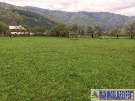 teren-intravilan-5490-mp-de-vanzare-in-dragoslavele-arges-ideal-pentru-proiecte-rezidentiale-sau-turistice-10