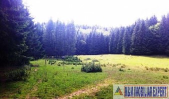 teren-4000-mp-extravilan-de-vanzare-in-fundata-brasov-oportunitate-pentru-dezvoltari-turistice-sau-agricole-1