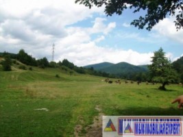 teren-46-ha-extravilan-pasune-valea-mare-pravat-namaiesti-9