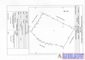 teren-46-ha-extravilan-pasune-valea-mare-pravat-namaiesti-21