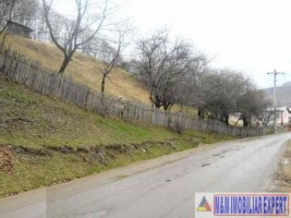 teren-7000-mp-extravilan-pasune-valea-mare-pravat-namaiesti-7