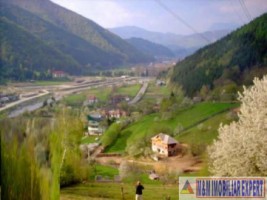 teren-12-ha-cu-cabana-lemn-zona-piatra-caselor-dragoslavele-arges-2