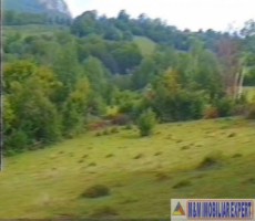 teren-12-ha-cu-cabana-lemn-zona-piatra-caselor-dragoslavele-arges-3