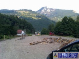 teren-12-ha-cu-cabana-lemn-zona-piatra-caselor-dragoslavele-arges-5