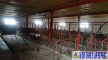 ferma-animale-teren-1-ha-campulung-2