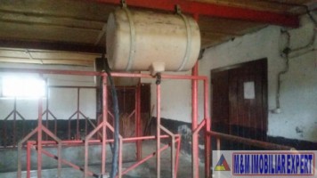 ferma-animale-teren-1-ha-campulung-3