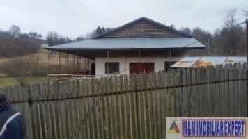 ferma-animale-teren-1-ha-campulung-12