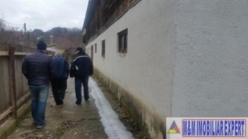 ferma-animale-teren-1-ha-campulung-8