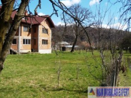 vila-cu-5-camere-si-teren-de-3800-mp-de-vanzare-in-aninoasa-ideala-pentru-locuinta-sau-investitie-3