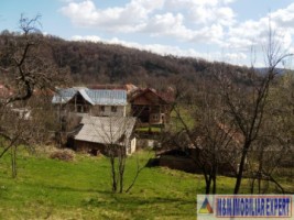 vila-cu-5-camere-si-teren-de-3800-mp-de-vanzare-in-aninoasa-ideala-pentru-locuinta-sau-investitie-5