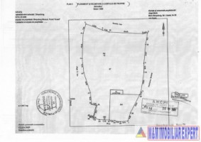 teren-extraintravilan-7850-mp-cu-livada-in-valea-barbusii-chilii-campulung-muscel-arges-ideal-pentru-agricultura-si-investitii-12