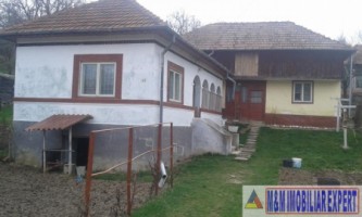 casa-cu-4-camere-si-teren-de-2500-mp-in-matau-mioarele-suslanesti-o-proprietate-perfecta-pentru-relaxare