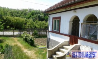 casa-cu-4-camere-si-teren-de-2500-mp-in-matau-mioarele-suslanesti-o-proprietate-perfecta-pentru-relaxare-2