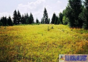 teren-extravilan-de-2615-mp-de-vanzare-in-dambovicioara-podul-dambovitei-ideal-pentru-activitati-agricole-si-recreative