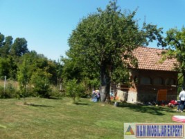 teren-intravilan-de-vanzare-600-mp-in-flamanda-campulung-muscel-arges-ideal-pentru-constructii-rezidentiale-9