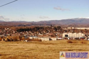 teren-extravilan-6100-mp-faneata-in-cretisoara-campulung-muscel-arges-ideal-pentru-agricultura-si-investitii-2