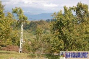 teren-2100-mp-intraextravilan-de-vanzare-in-bughea-de-jos-oportunitate-pentru-dezvoltari-rezidentiale-si-agricole-6