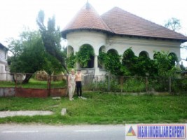 vila-stil-4-camere-cu-teren-de-3500-mp-de-vanzare-in-pietrosani-domnesti-arges-resedinta-unica-intr-o-zona-pitoreasca-2