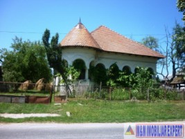 vila-stil-4-camere-cu-teren-de-3500-mp-de-vanzare-in-pietrosani-domnesti-arges-resedinta-unica-intr-o-zona-pitoreasca-3