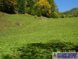 teren-extravilan-de-5991-mp-de-vanzare-in-dambovicioara-arges-ideal-pentru-dezvoltari-agricole-si-turistice