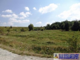 teren-faneata-extravilan-de-vanzare-11-ha-in-cretisoara-campulung-muscel-arges-ideal-pentru-agricultura-si-investitii