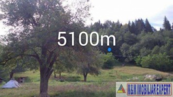 teren-livada-si-padure-9033-mp-de-vanzare-in-valea-romanestilor-campulung-muscel-arges-ideal-pentru-proiecte-in-natura-si-investitii-rurale-1