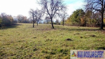 teren-extravilan-109-ha-de-vanzare-in-bughea-de-sus-arges-2