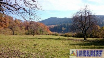 teren-extravilan-109-ha-de-vanzare-in-bughea-de-sus-arges-3