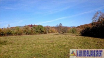 teren-extravilan-109-ha-de-vanzare-in-bughea-de-sus-arges-4